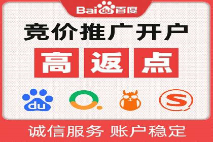 成功SEM服务案例分析报告